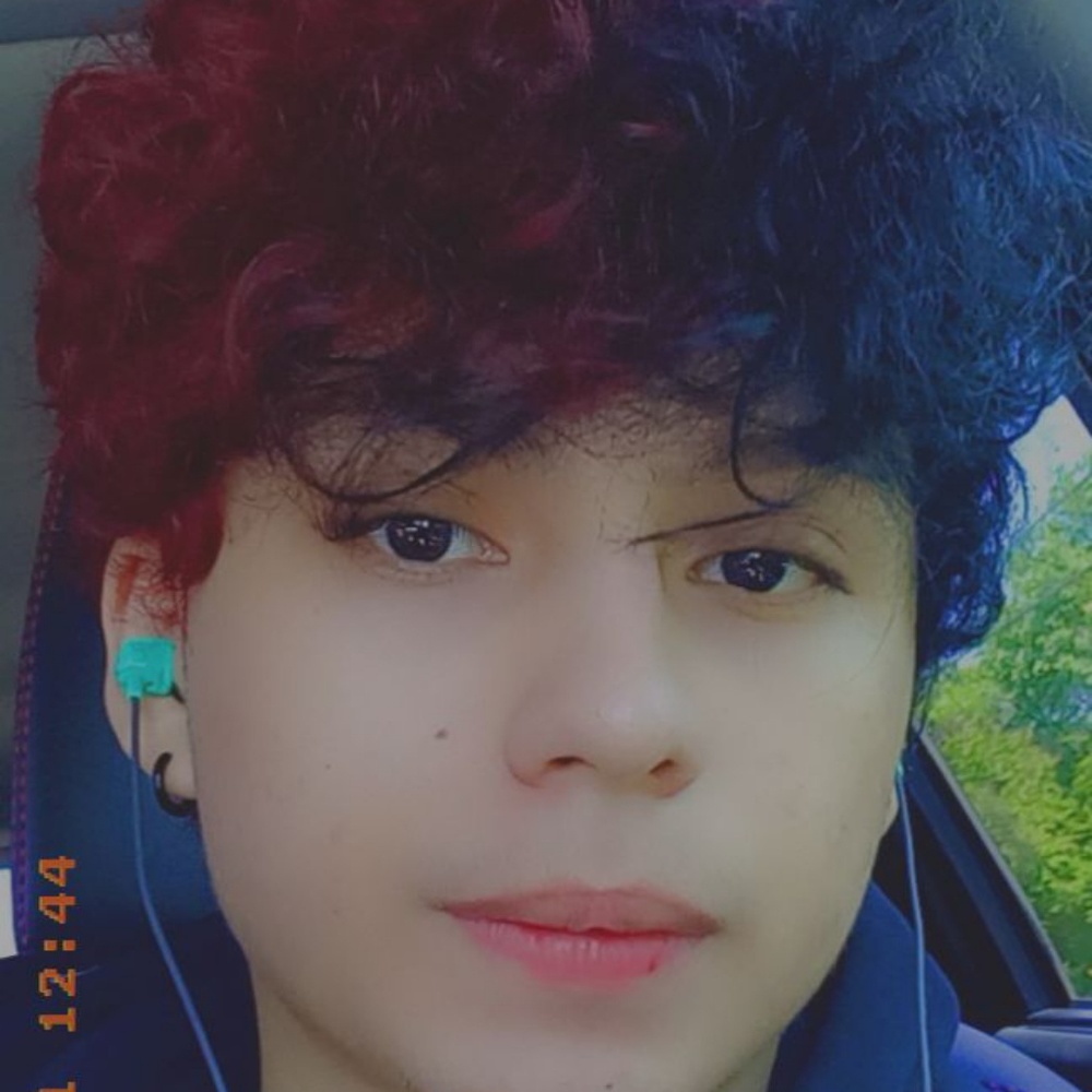 Meet your Posher, Max